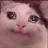 meow_dapula meow_dapula