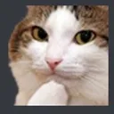 Gaerkat