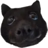 wagoogus