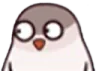 MISC_birdwhat