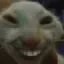 heh