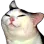 Catto Catto