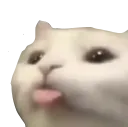 ir_blep