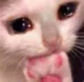 Nom_cry