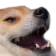 lol