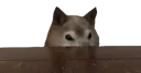 ir_iseeu