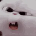wtf