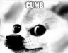 cumb