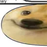ha