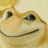 Froge froge Discord Emoji