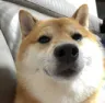 gugu