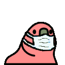masked_parrot