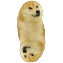 spin spin