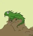 Iguana