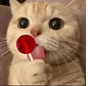 RRR_lollipop_khaba