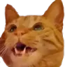 MarvBerriePOGGERS