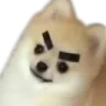 Fois_angry_doggo