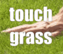 TZG_TouchGrass
