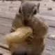 eatnuts eatnuts