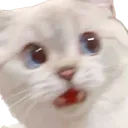 Assustado Discord Emoji