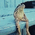 TZG_Chillin
