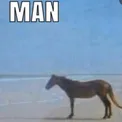mann