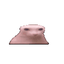 3446bingusangry