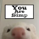 3169ratyouaresimp