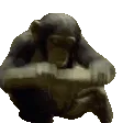 monkeSMASH