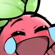 raydis1Laugh