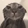 WetCat