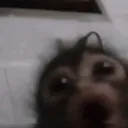 :monkepog: