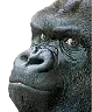 smallsG