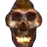 skulgl