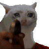 muricion_Mtln Discord emoji