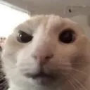 Hmm