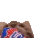 kittychips