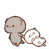 :Chat_traine_MJ: Chat_traine_MJ