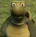 wtf