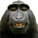 monkesmile