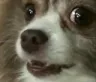 urrrrr