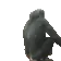 monkiFlip