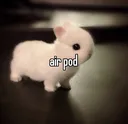 airpod