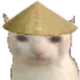 chicat