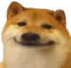 Doogosmile