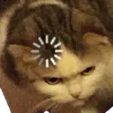 excuseme