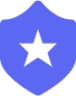 3488securitysheild Discord emoji