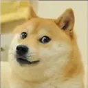Doge Discord Emoji
