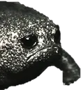 sadFroggo