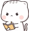 ds_writing